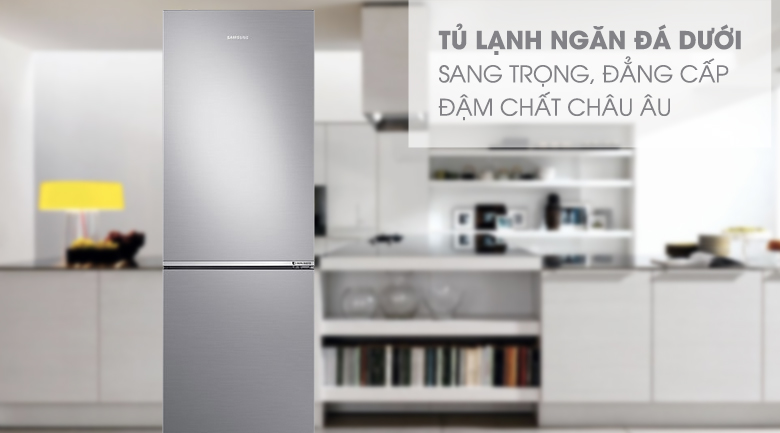Tủ lạnh Samsung Inverter 310 lít RB30N4010S8/SV Tủ lạnh Samsung Inverter 310 lít RB30N4010S8/SV