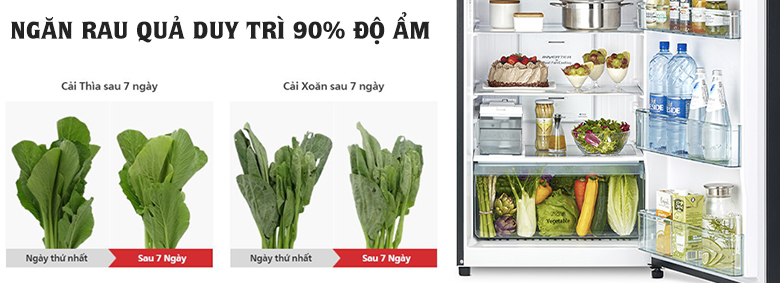 Tủ lạnh Hitachi Inverter 390 lít R-FVY510PGV0 GBK Tủ lạnh Hitachi Inverter 390 lít R-FVY510PGV0 GBK