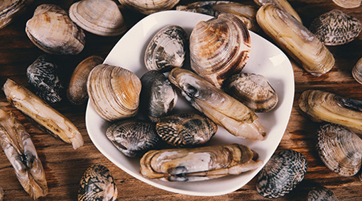 Máy rửa bát Texgio 6 Bộ TG-DT2022B - Tự Động Mồi Nước Máy rửa bát Texgio 6 Bộ TG-DT2022B - Tự Động Mồi Nước