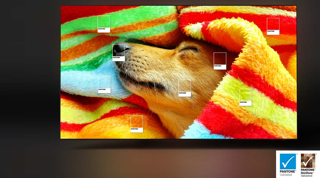 Smart Tivi OLED Samsung 4K 65 inch QA65S95CA Smart Tivi OLED Samsung 4K 65 inch QA65S95CA