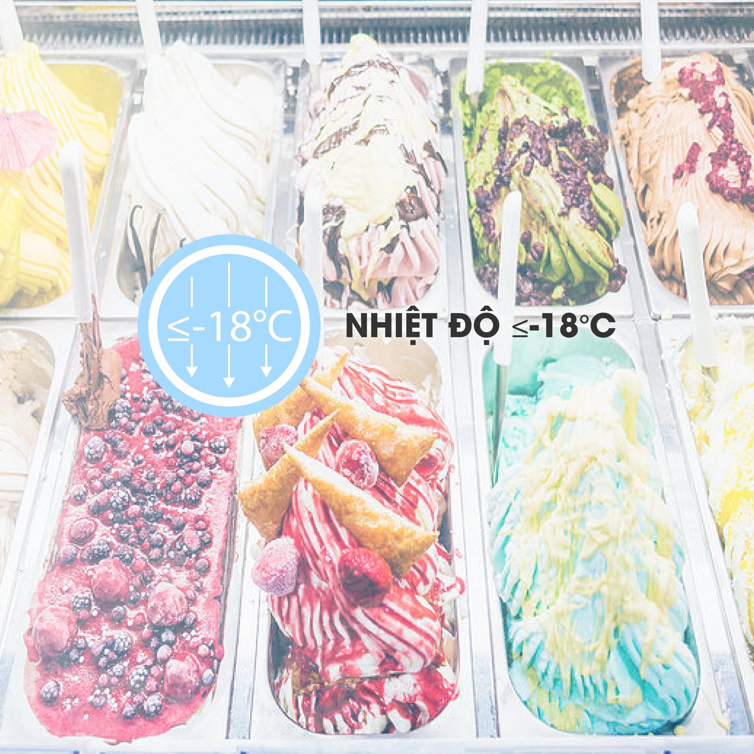 Tủ đông SanakyInverter 437 lít VH-6899K3 Tủ đông SanakyInverter 437 lít VH-6899K3