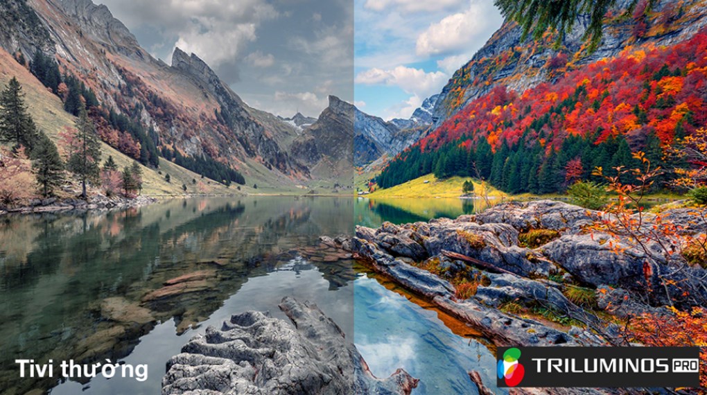 Google Tivi Sony 4K 55 inch K-55S30 Google Tivi Sony 4K 55 inch K-55S30