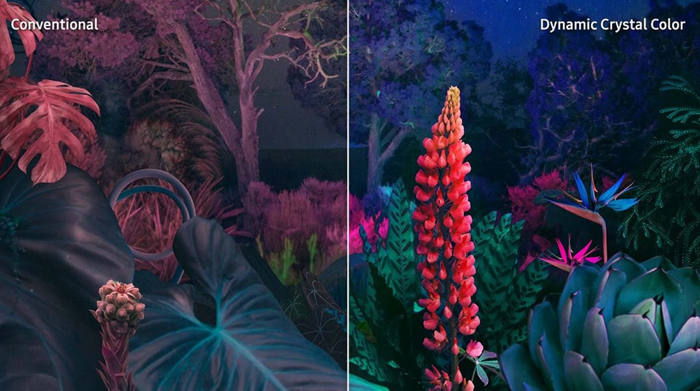 Smart Tivi Samsung 4K 55 inch UA55DU8000 Smart Tivi Samsung 4K 55 inch UA55DU8000