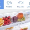 Tủ lạnh Samsung Inverter 406 lít RT42CG6584S9/SV