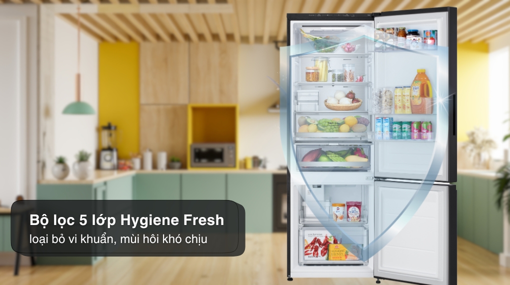 Tủ lạnh LG Inverter 335 lít LBB33BLGA - Công nghệ kháng khuẩn khử mùi