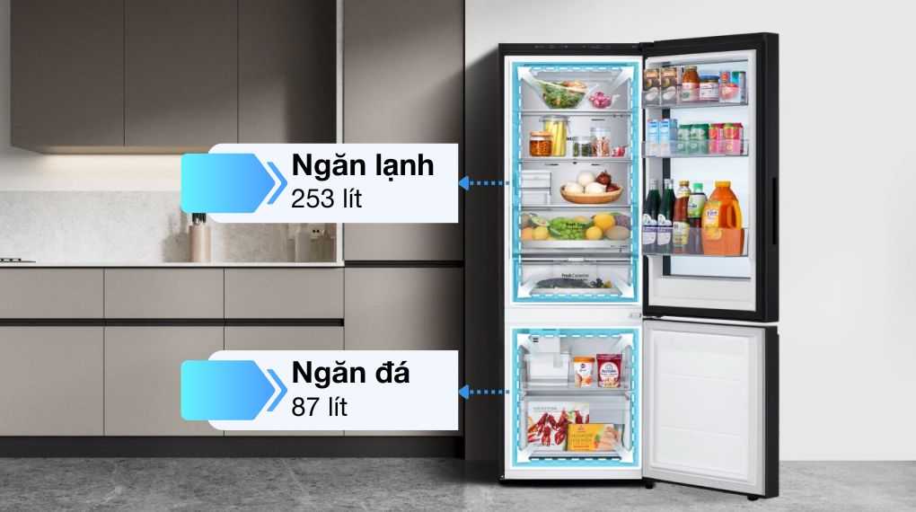 Tủ lạnh LG Inverter 340 lít InstaView LBB33BLMAI - Ngăn lạnh + Ngăn đá