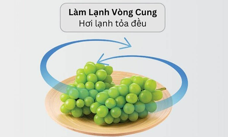 Tủ lạnh Hitachi Inverter 525 lít HRSN9552DWDXVN Side by Side - Làm lạnh nhanh và đồng đều