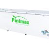 Tủ đông Pinimax 1100 lít PNM 119AF