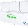 Tủ đông Pinimax 1100 lít PNM 119AF