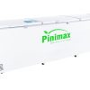 Tủ đông Pinimax 1300 lít PNM 139AF