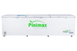 Tủ đông Pinimax Inverter 1100 lít PNM119AF3