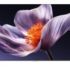 Google Tivi QD-MiniLED Xiaomi S Pro 4K 75 inch L75MB-SSEA