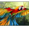 Google Tivi True RGB Sony AI 4K 98 inch K-98XR70M2