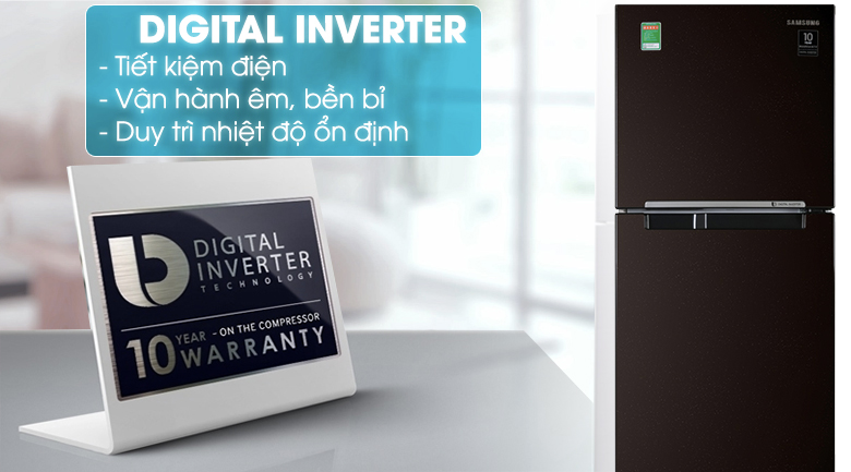Tủ lạnh Samsung Inverter 236 lít RT22M4032BY