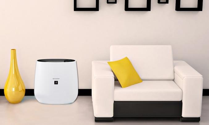Máy lọc không khí Sharp FP-J30E-B