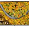 Smart Tivi Lg 4k 55 Inch 55up7550ptc