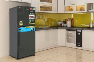 Tu Lanh Panasonic Inverter 268 Lit Nr Tv301vgmv