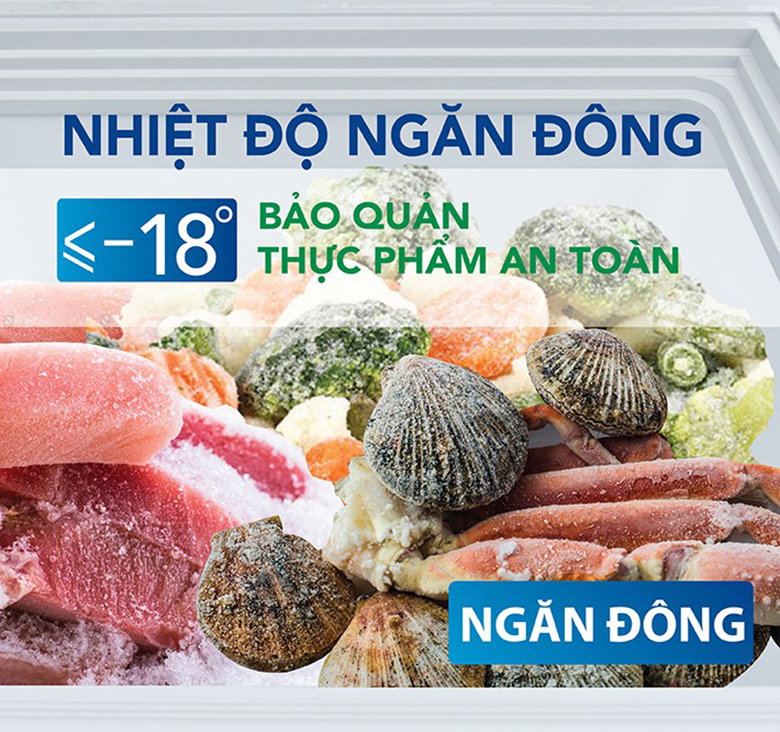 Tủ đông Hòa Phát 252 lít HCF 516S1Đ1