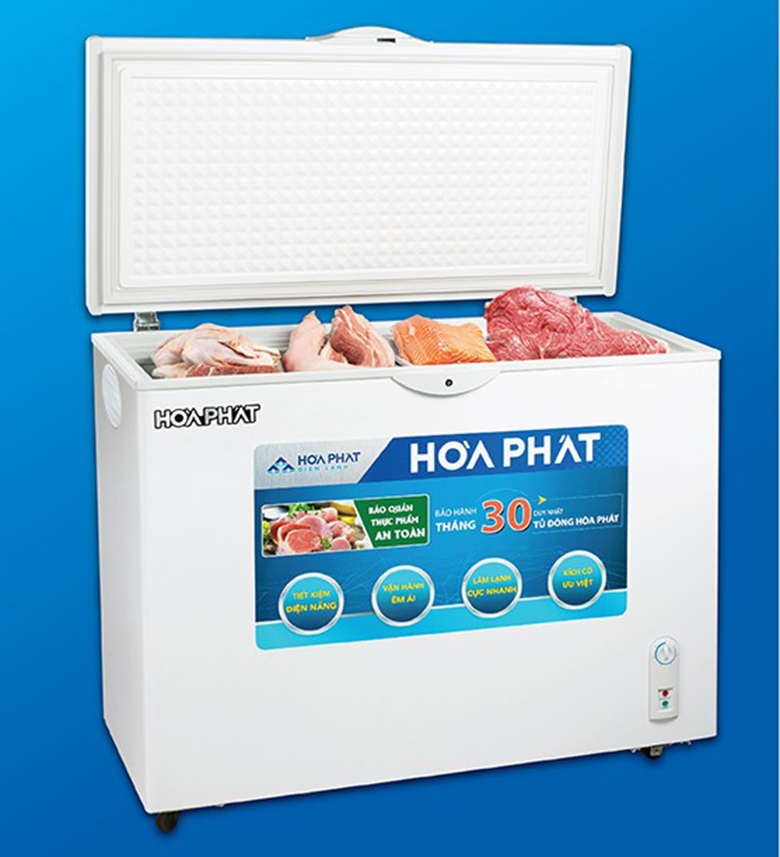 Tủ đông Hòa Phát 252 lít HCF 516S1Đ1