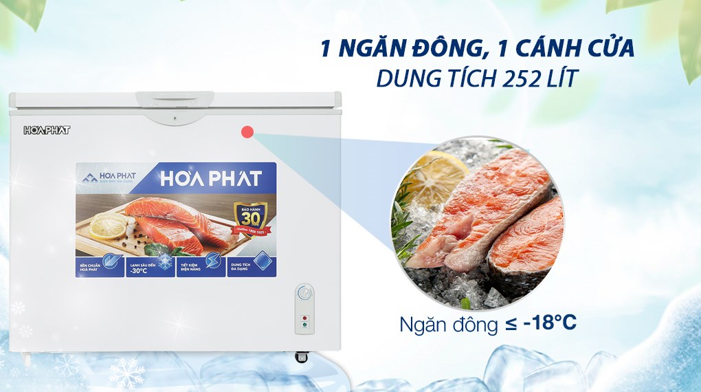 Tủ đông Hòa Phát 252 lít HPF AD6252