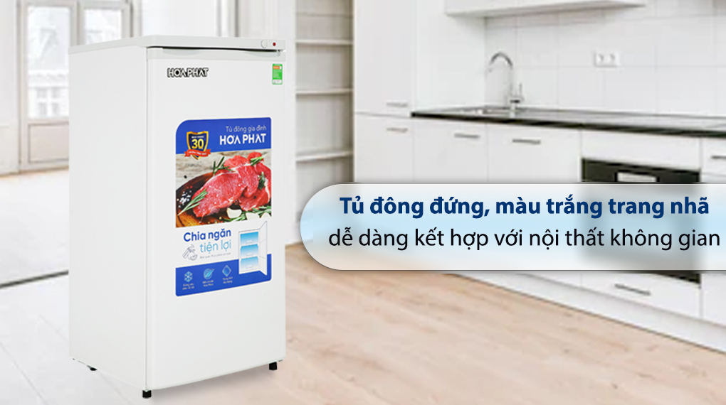 Tủ đông đứng Hòa Phát 147 Lít HPF UAH6147