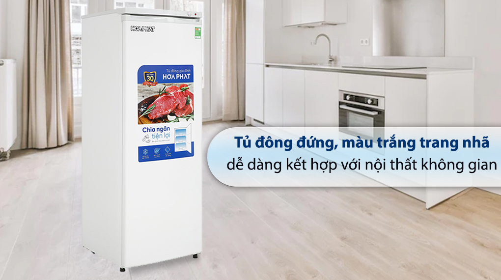 Tủ đông đứng Hòa Phát 208 Lít HPF UAH6208