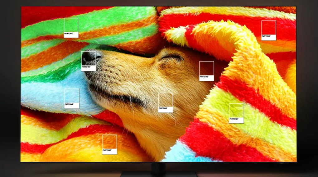 Smart Tivi Neo QLED 8K 65 inch Samsung QA65QN800C