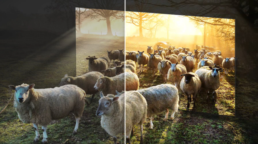 Smart Tivi Neo QLED 8K 75 inch Samsung QA75QN800C