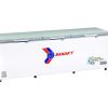 Tủ đông Sanaky 900 Lít Inverter VH 1199HY4K