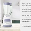 Máy xay sinh tố đa năng Philips HR2222/00