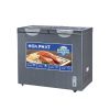 Tủ đông Hòa Phát 205 Lít HPF BD6205G