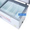 Tủ đông Darling Inverter 360 lít DMF-4799ASI