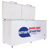 Tủ đông Darling inverter 970 lít DMF 9779ASI