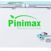 Tủ đông kính cường lực Pinimax 390 lít PNM 39A2KD