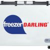 Tủ đông mát Darling 230 lít DMF 2999W2