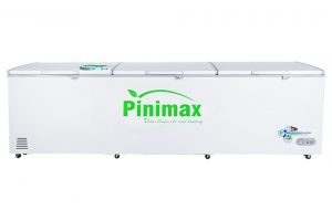 Tủ đông Pinimax 1100 lít PNM 119AF