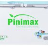 Tủ đông Pinimax 490 lít PNM 49A4KD