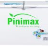 Tủ đông Pinimax 490 lít PNM 49AF