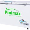Tủ đông Pinimax 590 lít PNM59AF