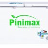 Tủ đông Pinimax 590 lít PNM59AF