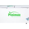 Tủ đông Pinimax 890 lít PNM 89AF