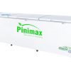 Tủ đông Pinimax Inverter 1100 lít PNM119AF3