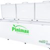 Tủ đông Pinimax Inverter 1100 lít PNM119AF3