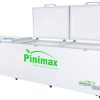 Tủ đông Pinimax Inverter 1100 lít PNM119AF3