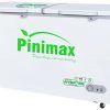Tủ đông Pinimax Inverter 590 lít PNM 59AF3