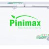 Tủ đông Pinimax Inverter 590 lít PNM 59AF3
