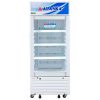 Tủ mát Alaska 160 lít LC 233H